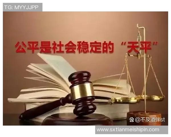 以法治为核心推动社会公平正义实现全面发展与长治久安的战略路径